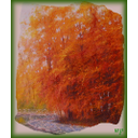Mostra 6 - M. Pompea Coluzzi Immagine