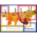 Mostra 9 - Severina Reali Immagine
