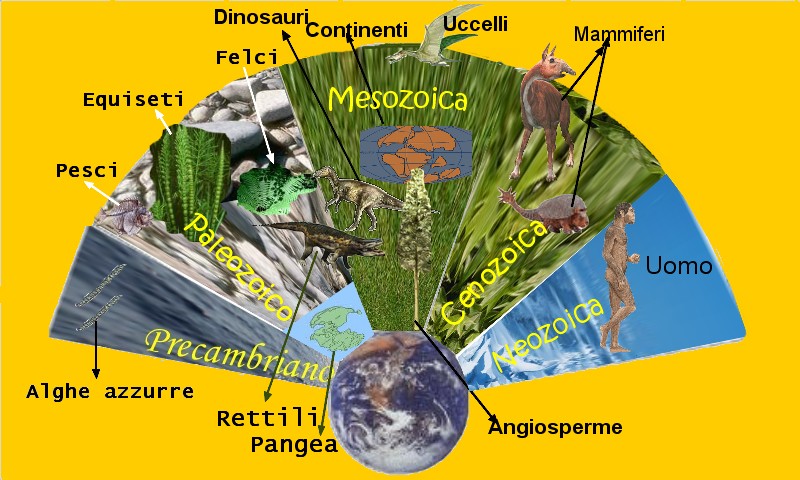 Ere geologiche ventaglio Ere geologiche