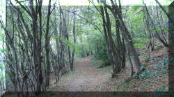 parco1