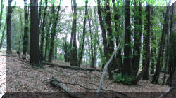 parco3