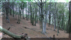 parco4
