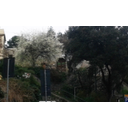 Il portale visto frontalmente da lontano. Si può vedere l'intera muratura in cui esso è inserito. Inoltre si possono scorgere i graffiti colorati sulla porta in ferro. (Vittorio Bravo)
