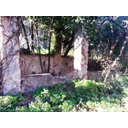 Resti dei pilastrini del pergolato che conduceva alla perduta palazzina. (Marta Pisoni)