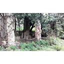 Scorcio dell'hortus conclusus e della villa preesistente. E' evidente lo stato di abbandono in cui si trova la proprietà, con la vegetazione che invade l'architettura (Matteo Sanfilippo)