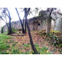 Vista della vegetazione spontanea del giardino dietro al portale. Sullo sfondo si può vedere la parte murata del portale. (Gratiela Tanasescu)